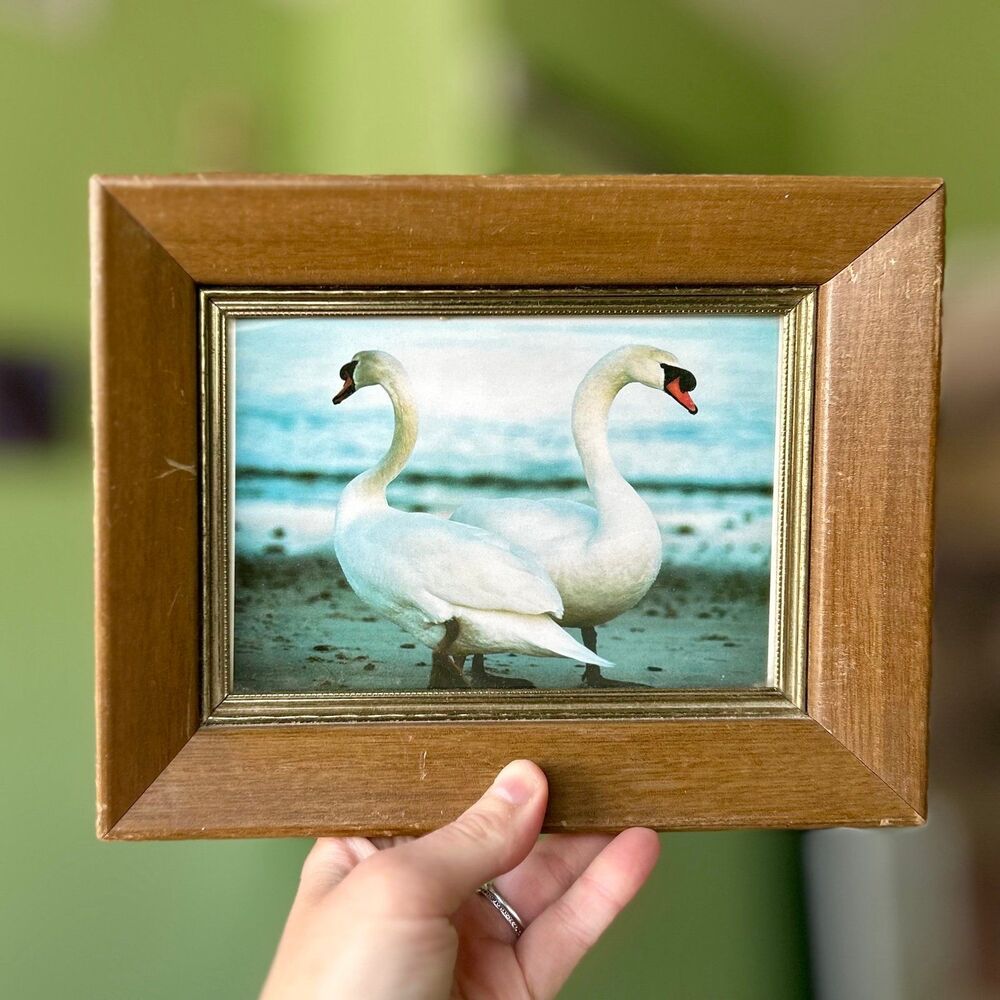 VTG Wood Framed Charming White Geese Nautical Accent Display